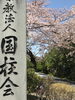 お天気に恵まれることを祈っています！「4/5（日）【江戸川区一之江】2026年 申孝園桜祭り開催のお知らせ」