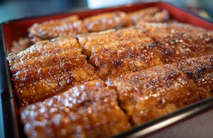 6 25 Open 伊勢うなしま 伊勢市 New Openのお店 まいぷれ 伊勢 6 25 Open 伊勢うなしま 伊勢市 New Openのお店 まいぷれ 伊勢