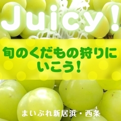 【2022年】Juicy！ 旬のくだもの狩りにいこう！（西条・新居浜）