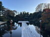 「サロンに来たら寄ってほしい‼︎オススメ穴場スポット‼︎【札幌北区篠路プライベートサロン　Te-tora】脳波と骨格を整えて睡眠の質を上げるOTEIRE」