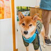 まるちゃん「今日のお友達」