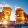 まいぷれ水戸　お酒とグルメ大特集
