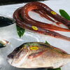 「魚魚市場鮮魚コーナーおすすめは「殻付き牡蠣・天然ぶり」です♪」