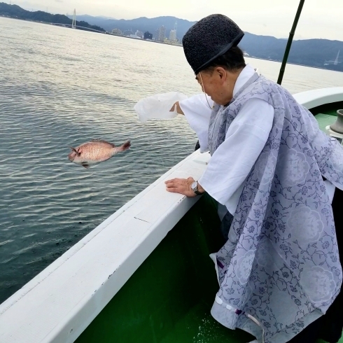 「大漁祈願「汐祭り」和歌浦漁港にて。」