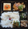 幕の内弁当「明日の日替り弁当はごぼうハンバーグ」