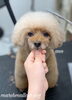 「冬のオプションキャンペーン　(^-^)」