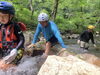「渓流にはどんな生き物がいる？」