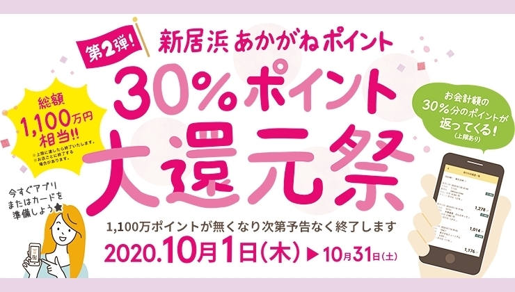 新居浜あかがねポイント30％ポイント大還元祭開催中「永久堂おすすめの秋のスイーツ！」