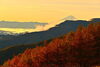 雲海「🍁入笠山、秋の彩りに包まれて」