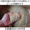 千葉市産麦芽ビール！「2024年12月の営業予定（いなびや、稲毛のクラフトビール醸造所）」
