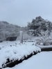 記念館周辺の様子「今日も舞鶴は雪・雪・雪」
