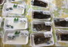 「魚魚市場鮮魚コーナーおすすめは「サバ・鯛」です♪」