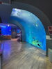 大水槽「今、浜名湖の水族館が面白い!/静岡の水槽レンタルはアクアデザインブルースにお任せ/水槽プロデュース/島田市/」