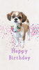 「Dog salon mofu mofu　余市町」