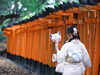 後姿「ご家族やご友人同士での思い出作り—伏見稲荷大社の鳥居で記念撮影！」
