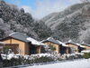 「12/26（日）の雪の様子」