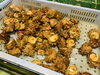 「晩酌のお供にサザエのつぼ焼きいかがですか？」