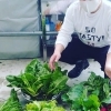 食材は余すことなく使いきる。