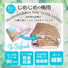 「皆様こんばんは！【岩手県で布団・枕を購入するなら、やよいリビング】」