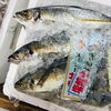 「魚魚市場鮮魚コーナーおすすめは「サザエ・ヒオウギ貝」です♪」