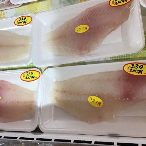 「魚魚市場鮮魚コーナーおすすめは「ビンチョウマグロ」です♪」