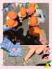 てんとう虫発見♡「ぽかぽか春♪」