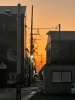 街灯が少ないので夕焼けがきれいに見えます。「朝日や夕日って心が落ち着きますよね…。「夕日が人を癒す理由」にはどんな事があるのが調べてみました。」