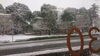 雪化粧「雪だけど通常営業！（フィットネス、ダイエット、健康、美容）」