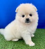 来年もよろしくお願いします(^▽^)「年末年始のおやすみ」