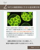 温泉微生物RG92の驚異の生命力「RG92ってなに？amillaが大切にしている「温泉由来成分」のお話」