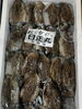 甲イカ「本日鮮魚入荷致しました」
