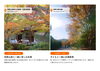 「秋の絶景を満喫！和歌山のおすすめ紅葉＆秋の行楽スポット特集」