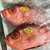 「魚魚市場鮮魚コーナーおすすめは「養殖ヒラス・水イカ」です♪」