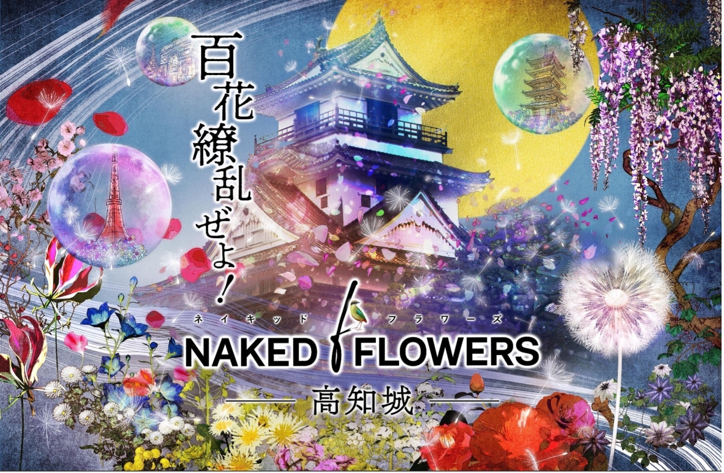 おでかけ派 読者プレゼント付き スタイル別 家族で楽しむクリスマス特集 21 まいぷれ 高知 おでかけ派 読者プレゼント付き スタイル別 家族で楽しむクリスマス特集 21 まいぷれ 高知