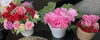 頂いたお花や残り花を生けてますꉂ(ˊᗜˋ*)「5/20(月)定休日、21日(火)お休みします」