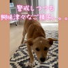 仲介手数料無料☆八王子ひなた不動産「嬉しいご依頼をいただきました！【仲介手数料無料☆八王子ひなた不動産】」