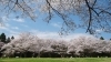 泉自然公園