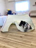 グーちゃんとボールプール　笑「ましゅまろ幼稚園　(^-^)」