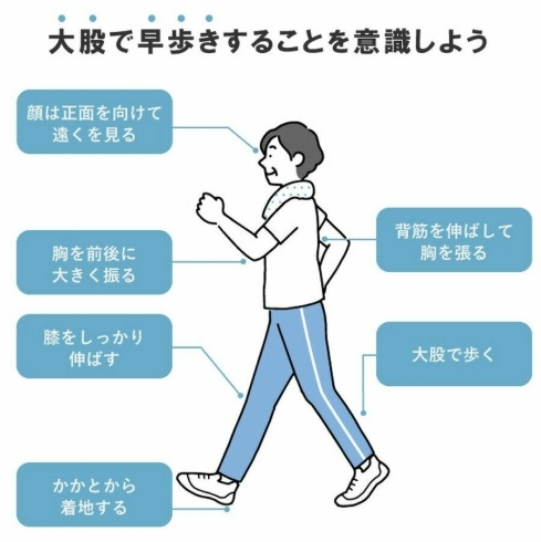 正しい姿勢で少しだけ速足で歩きましょう。「加齢と歩行能力の変化　その１」