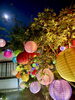 「昨夜の夜間拝観の様子です」