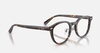 人気のハバナカラー「今年もあと半月！一年頑張った貴方にRay-Banのベストセラーフレーム」