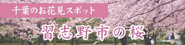 千葉でお花見するならここ 習志野市の桜情報 21年 お花見するならここ 千葉 船橋 市川 習志野の 桜 特集 21年 まいぷれ 習志野市 千葉でお花見するならここ 習志野市の桜情報 21年 お花見するならここ 千葉 船橋 市川 習志野の 桜 特集 21年 まいぷれ 習志野市