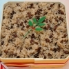 赤飯