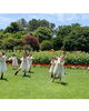 「‪‬Healing Garden March‪」