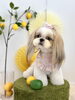 ななちゃん「わんことレモン🍋＆はじめまして♡」
