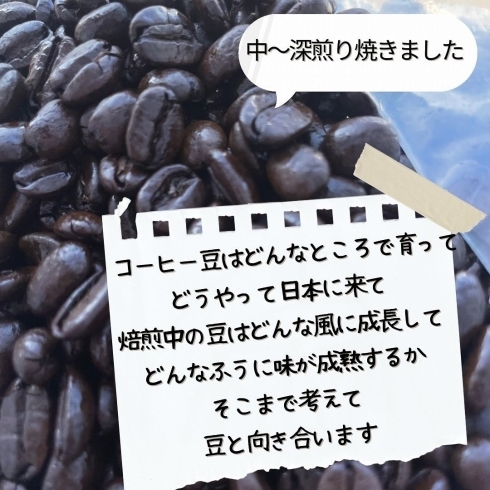 説明「mondoはmondoココcoffeeというもう一つの顔があります★【高松市/コーヒー/リラクゼーション/マルシェ/健康/アームズメソッド】」