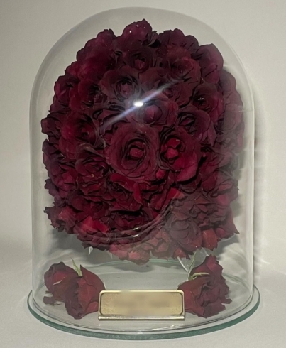 108本のプロポーズの薔薇の花束🌹✨記念に残せます【宮崎/ドライ 108本のプロポーズの薔薇の花束🌹✨記念に残せます【宮崎/ドライ