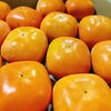 「種がなくて食べやすい！ 「おけさ柿」の入荷が始まっていますよー！」