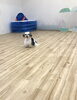 やっぱりカメラ目線　笑「ましゅまろ幼稚園　（＾ν＾）」