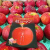 「「江刺りんご・紅ロマン」です」